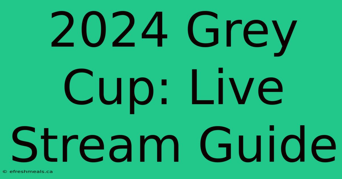 2024 Grey Cup: Live Stream Guide