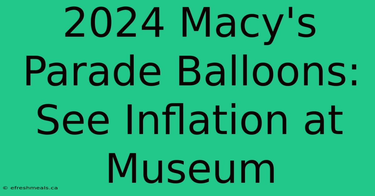 2024 Macy's Parade Balloons: See Inflation At Museum