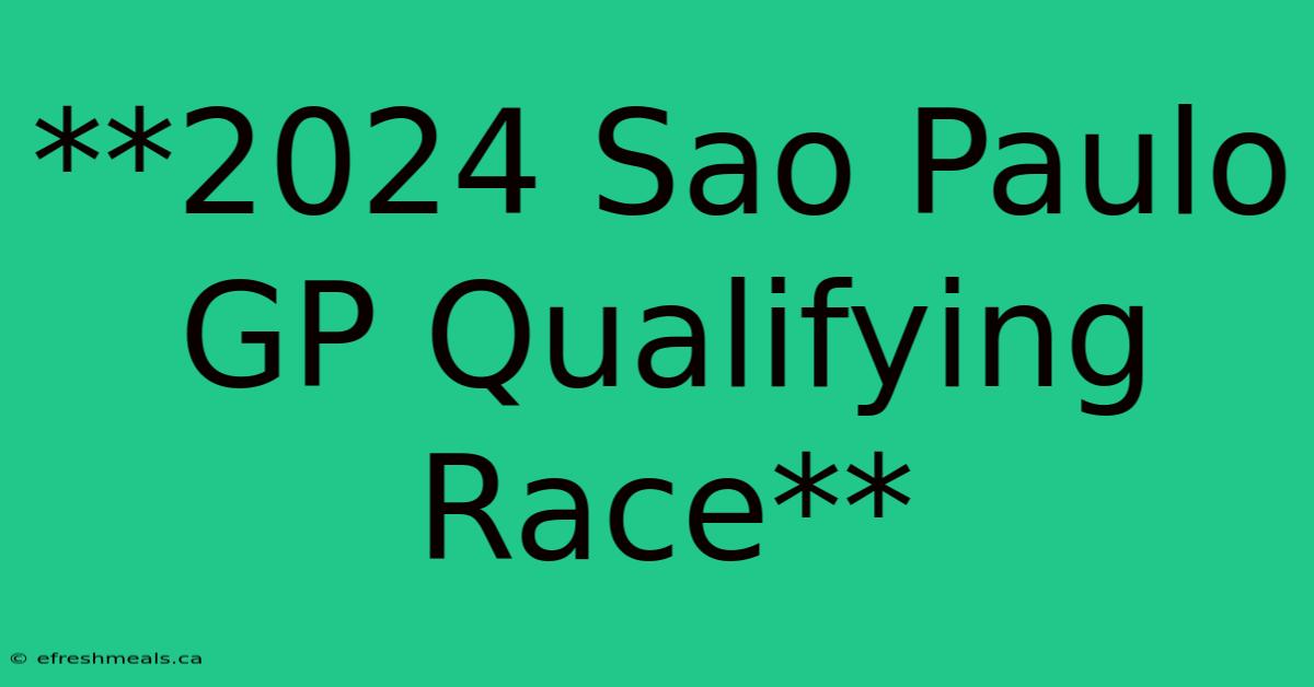 **2024 Sao Paulo GP Qualifying Race**