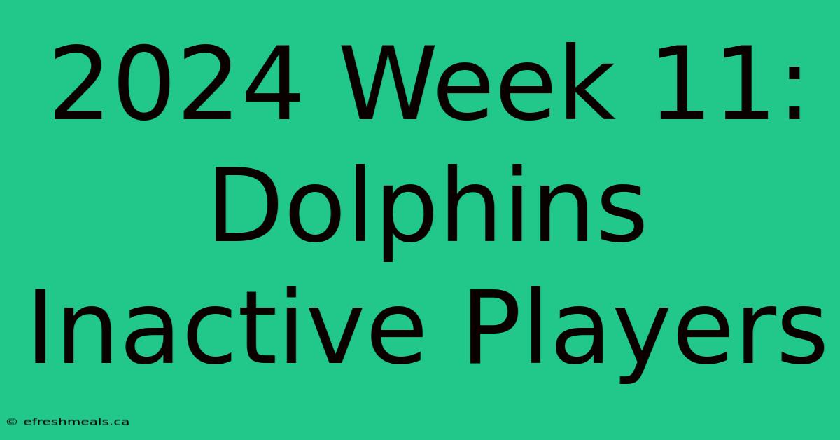 2024 Week 11: Dolphins Inactive Players