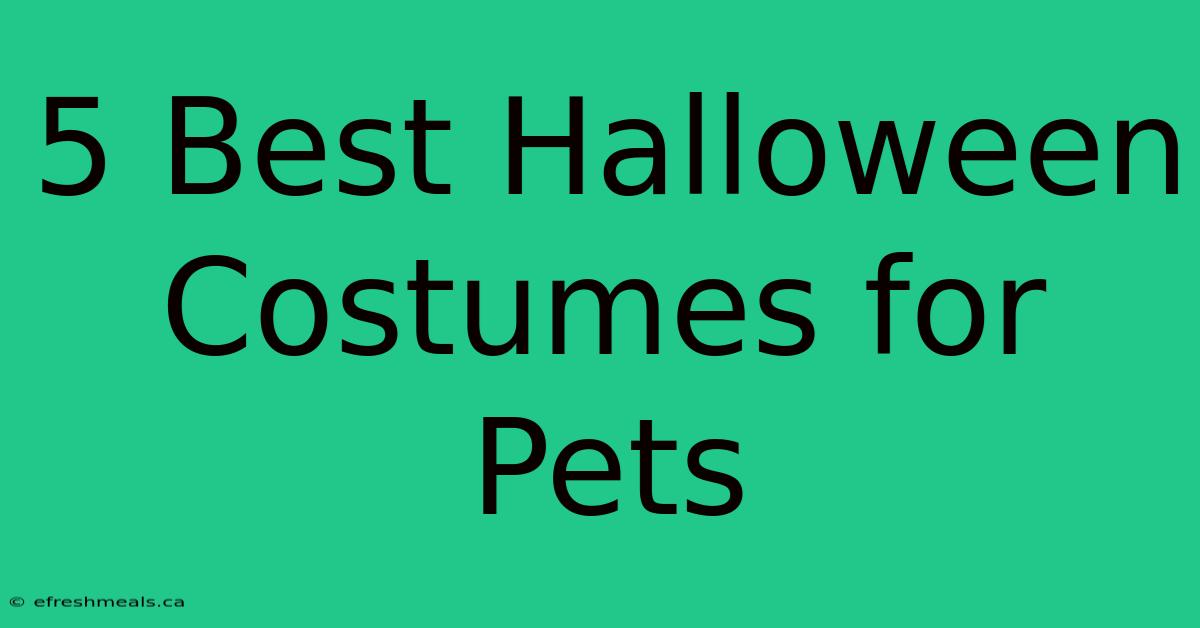 5 Best Halloween Costumes For Pets