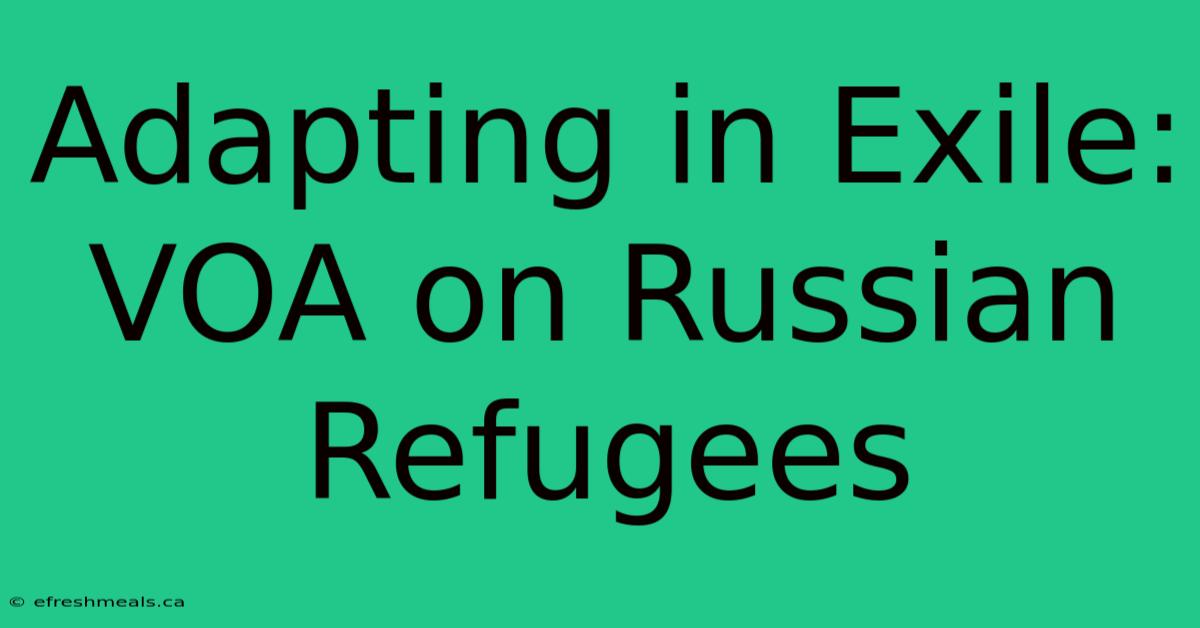 Adapting In Exile: VOA On Russian Refugees