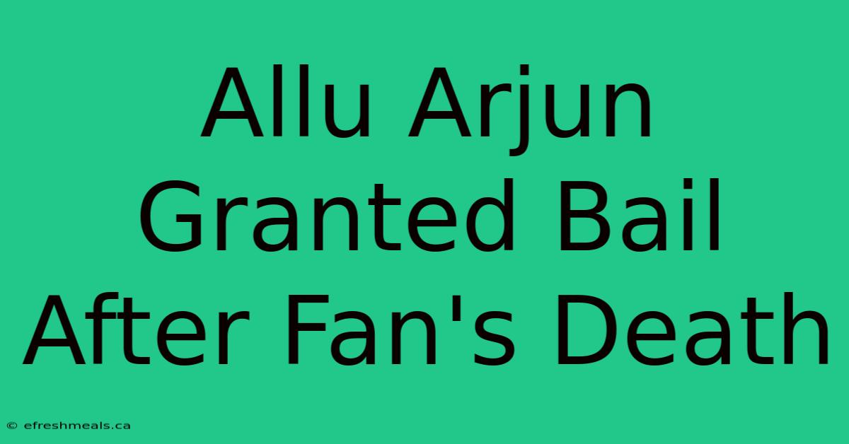 Allu Arjun Granted Bail After Fan's Death