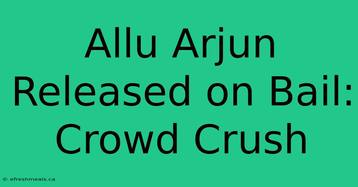 Allu Arjun Released On Bail: Crowd Crush