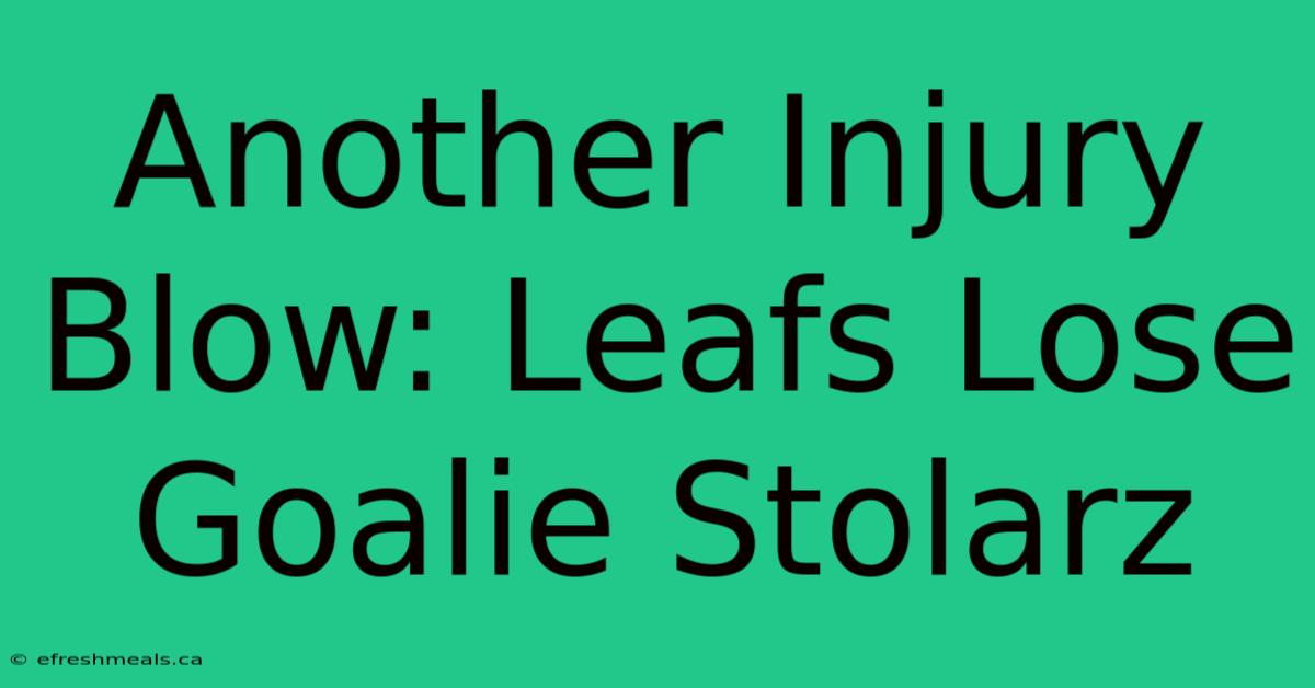 Another Injury Blow: Leafs Lose Goalie Stolarz