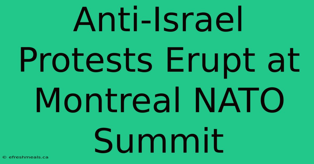 Anti-Israel Protests Erupt At Montreal NATO Summit