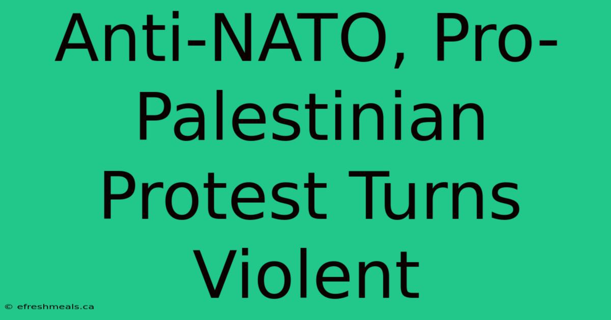 Anti-NATO, Pro-Palestinian Protest Turns Violent