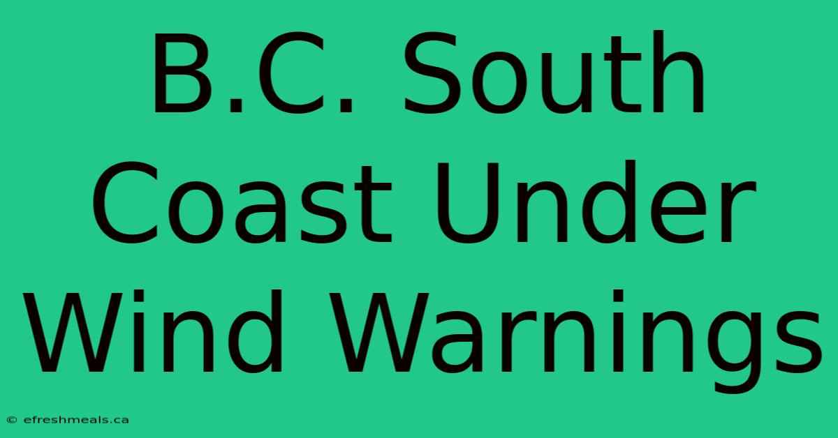 B.C. South Coast Under Wind Warnings