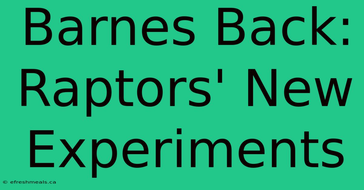 Barnes Back: Raptors' New Experiments