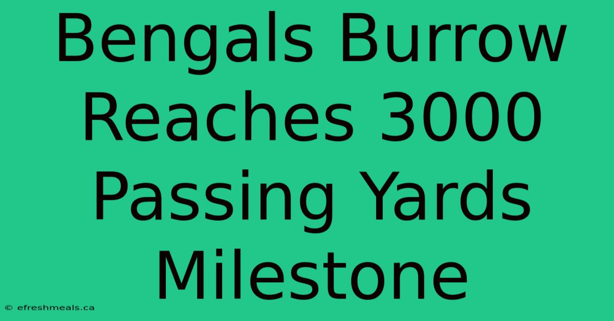 Bengals Burrow Reaches 3000 Passing Yards Milestone