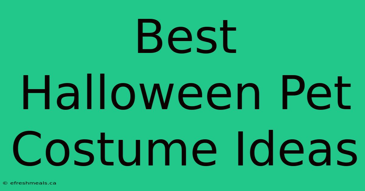 Best Halloween Pet Costume Ideas