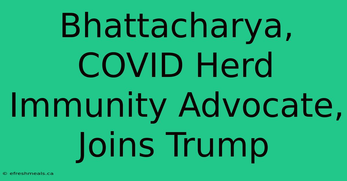 Bhattacharya, COVID Herd Immunity Advocate, Joins Trump