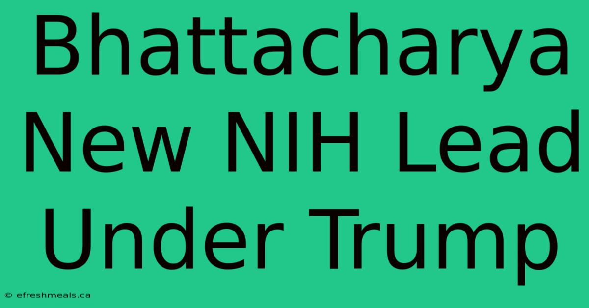 Bhattacharya New NIH Lead Under Trump