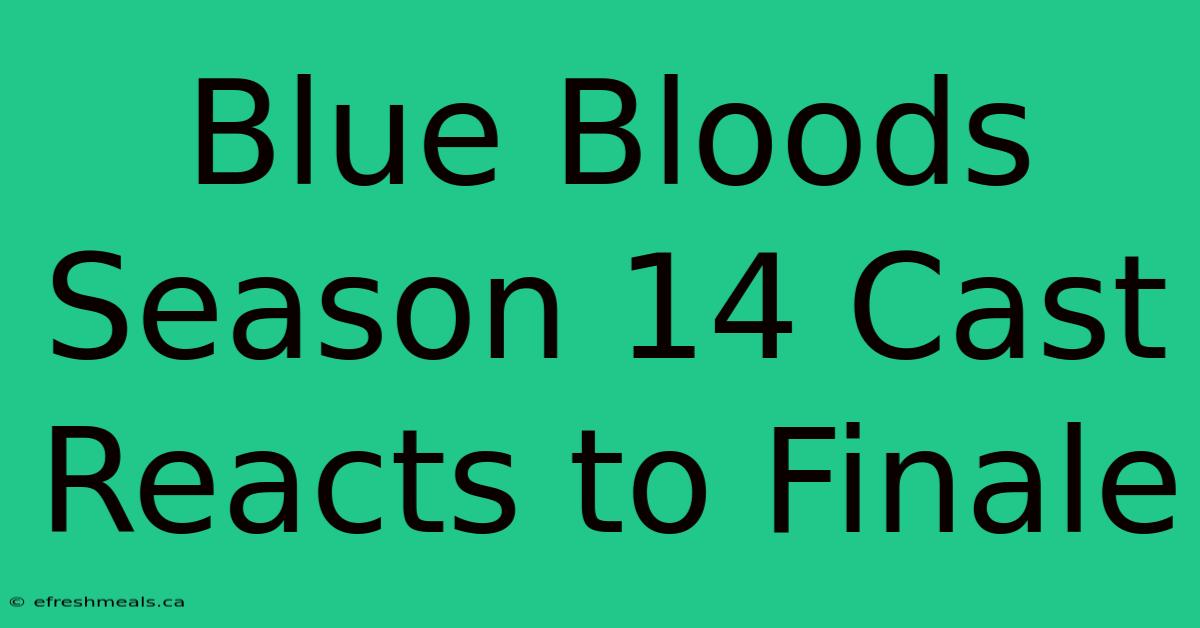 Blue Bloods Season 14 Cast Reacts To Finale