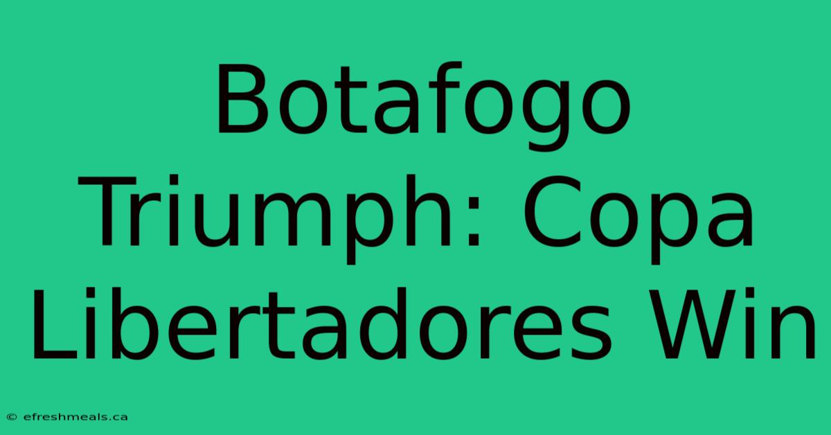 Botafogo Triumph: Copa Libertadores Win