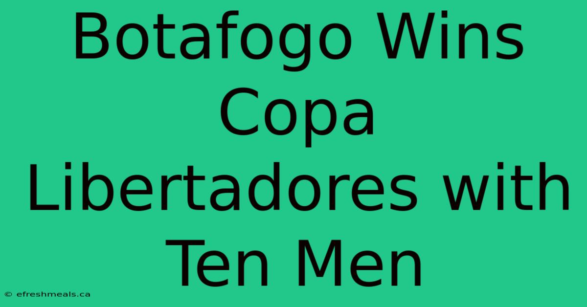 Botafogo Wins Copa Libertadores With Ten Men