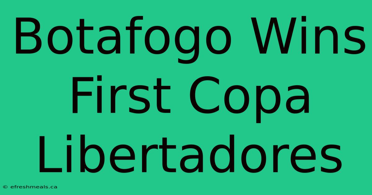 Botafogo Wins First Copa Libertadores