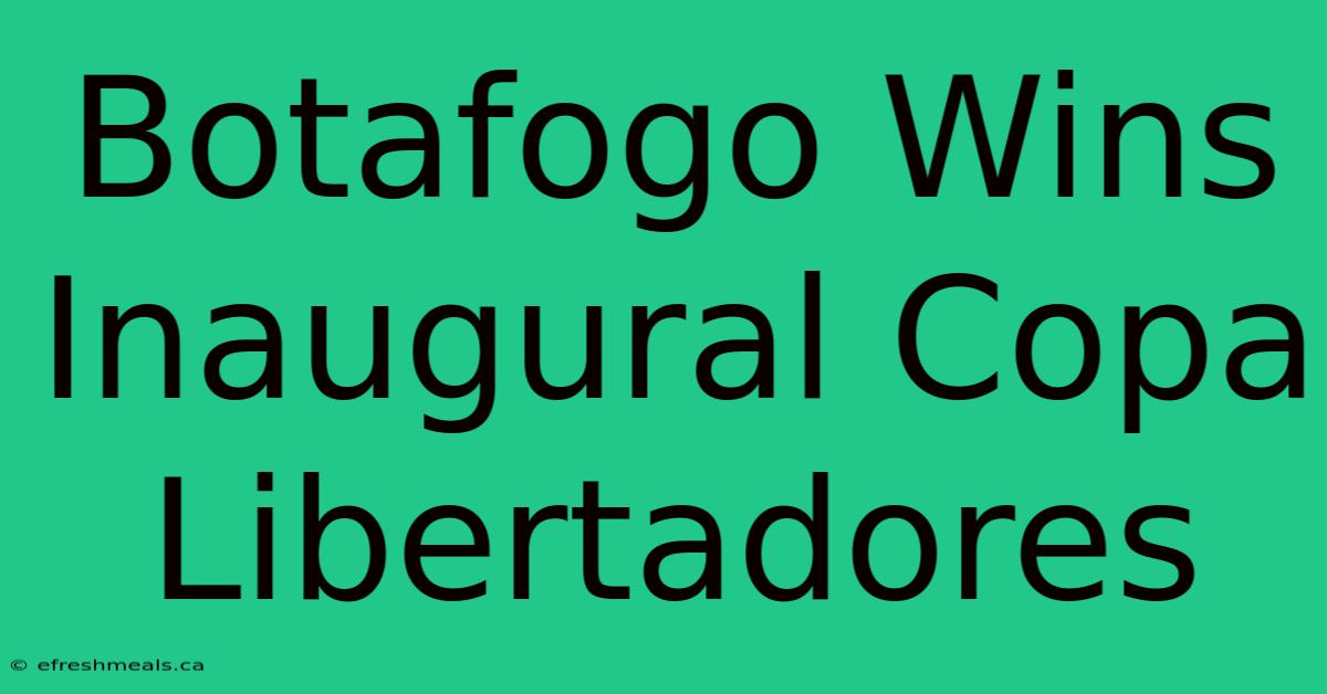 Botafogo Wins Inaugural Copa Libertadores