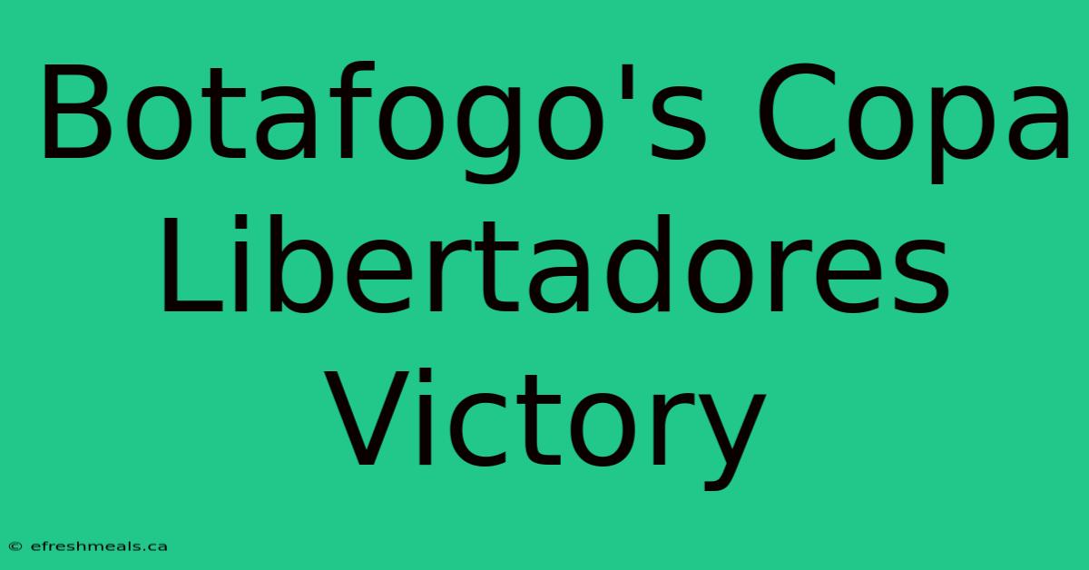 Botafogo's Copa Libertadores Victory