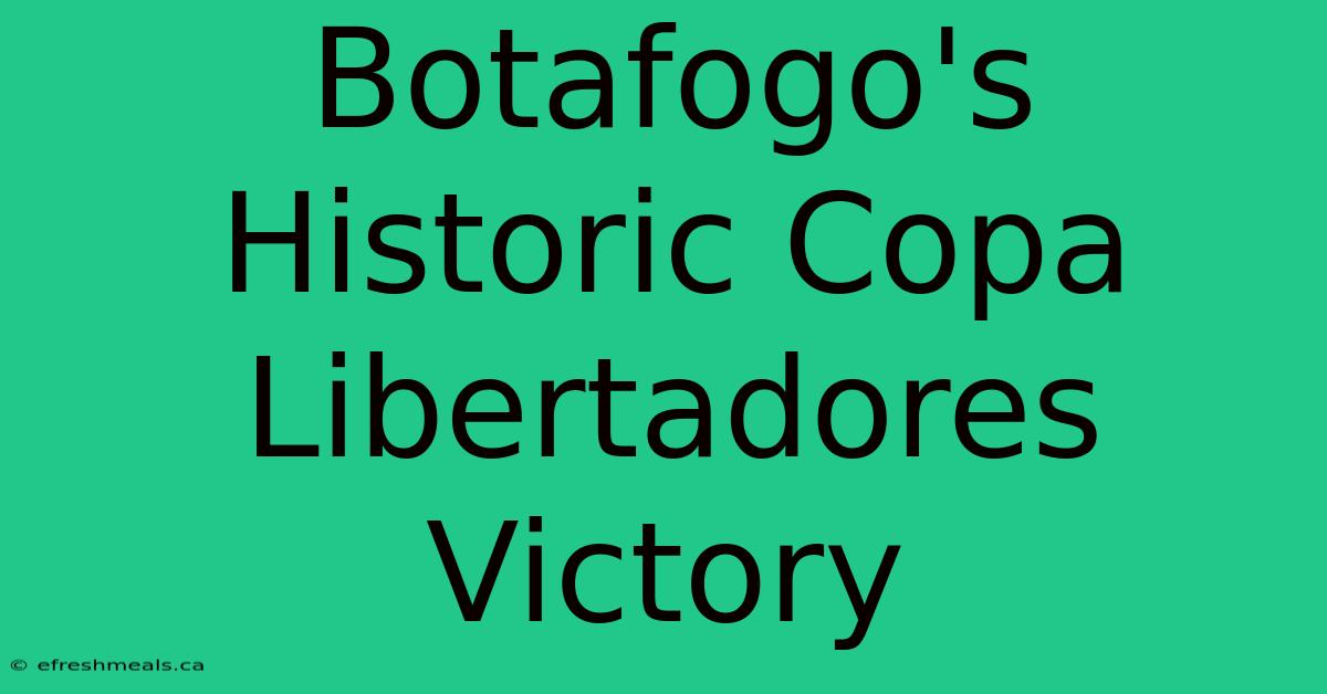 Botafogo's Historic Copa Libertadores Victory