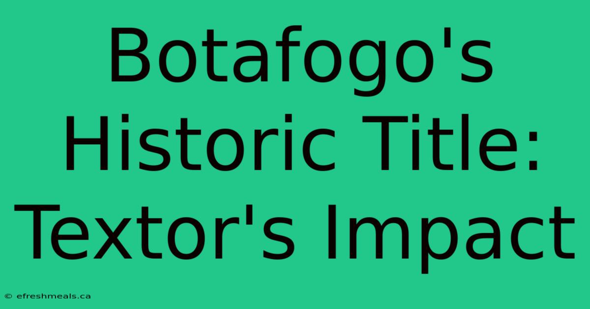 Botafogo's Historic Title: Textor's Impact