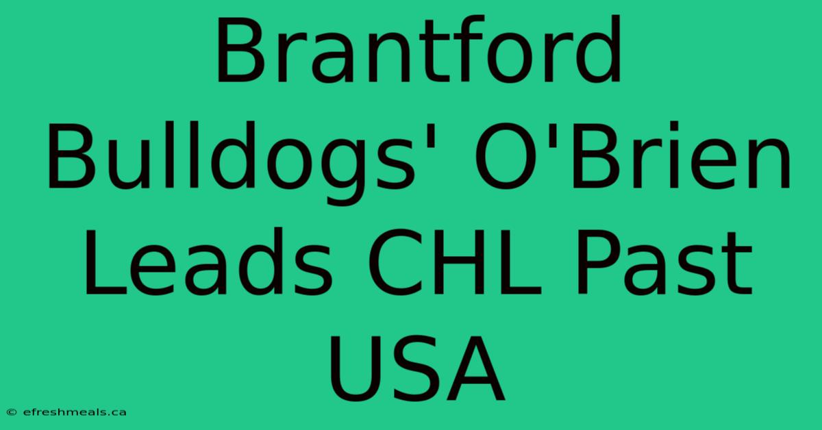 Brantford Bulldogs' O'Brien Leads CHL Past USA