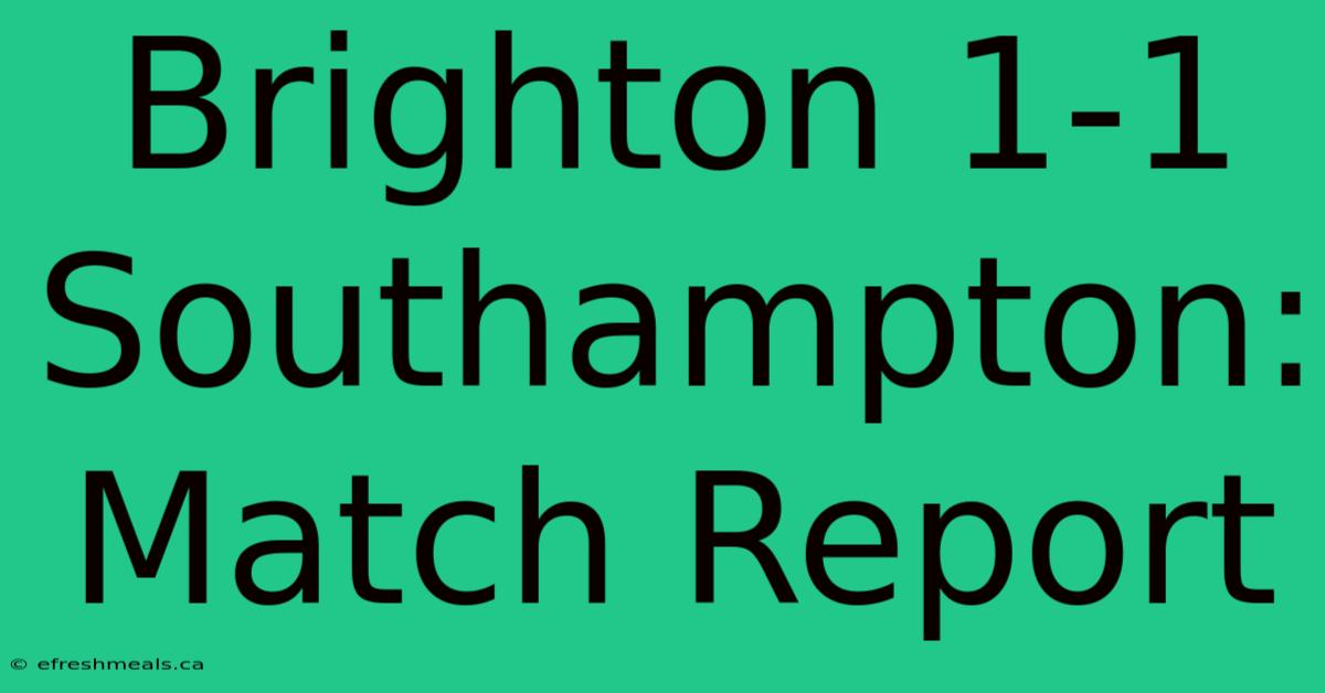 Brighton 1-1 Southampton: Match Report