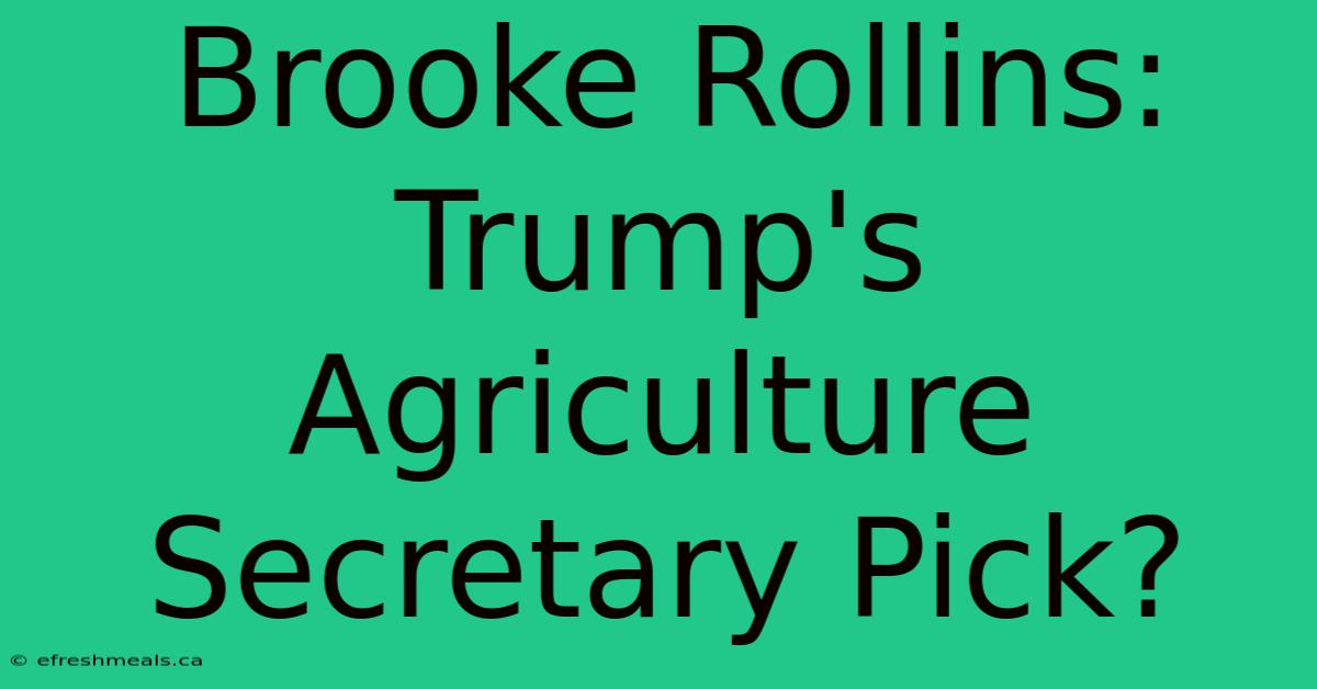 Brooke Rollins: Trump's Agriculture Secretary Pick?