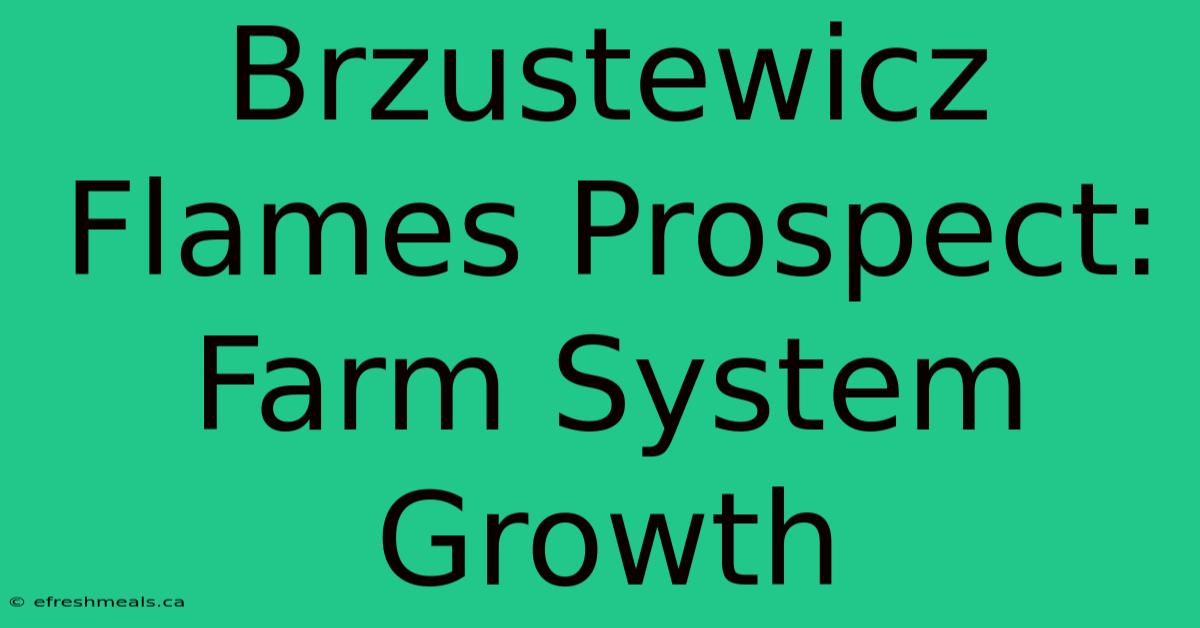 Brzustewicz Flames Prospect: Farm System Growth