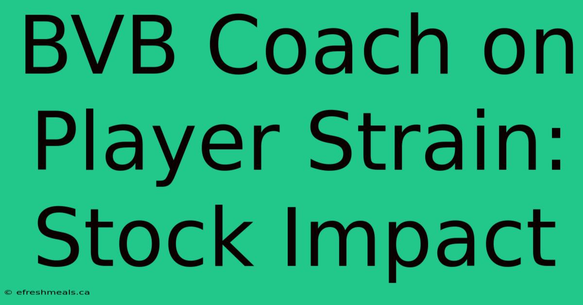 BVB Coach On Player Strain: Stock Impact