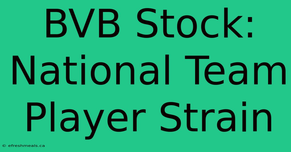 BVB Stock: National Team Player Strain