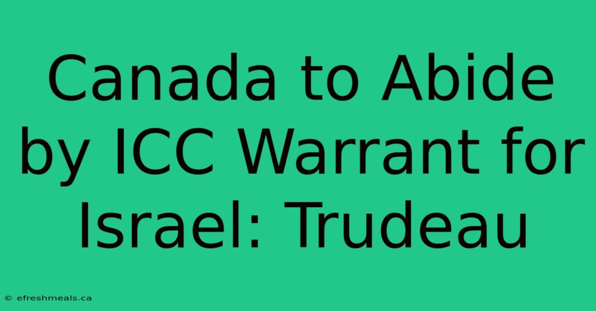 Canada To Abide By ICC Warrant For Israel: Trudeau