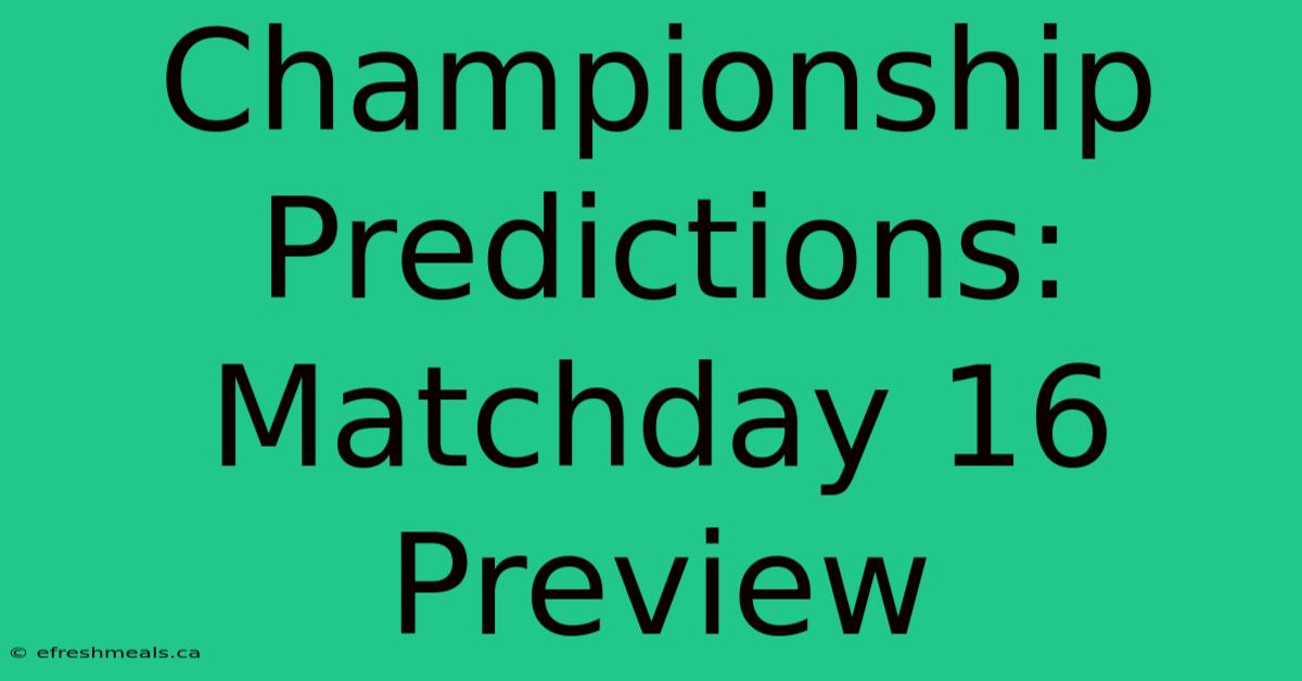 Championship Predictions: Matchday 16 Preview