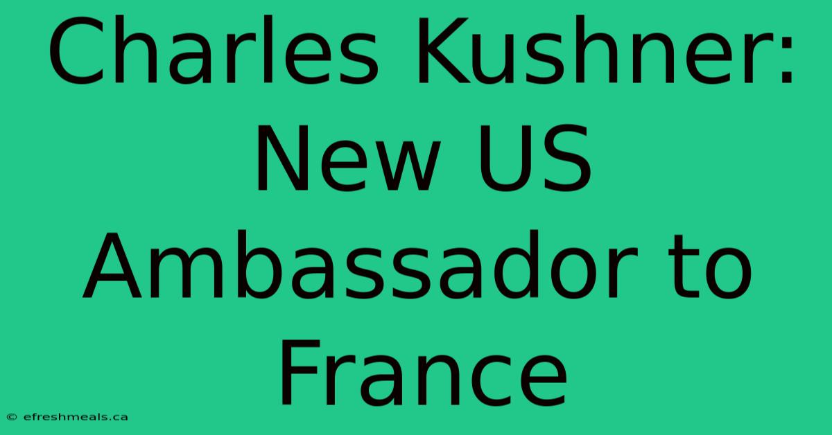 Charles Kushner: New US Ambassador To France