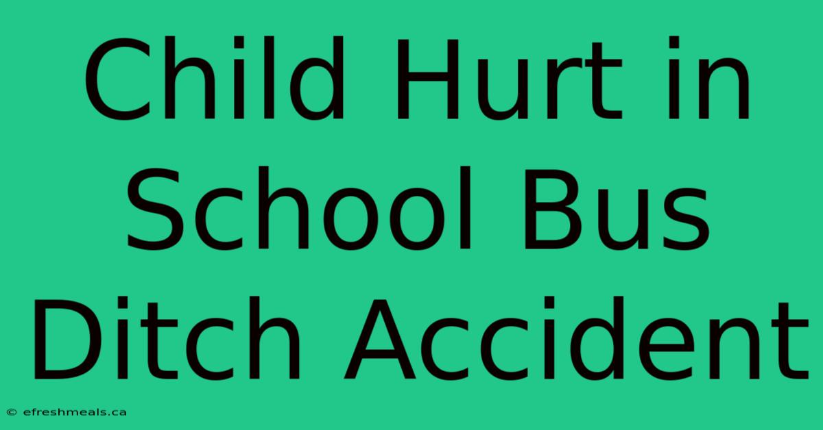 Child Hurt In School Bus Ditch Accident