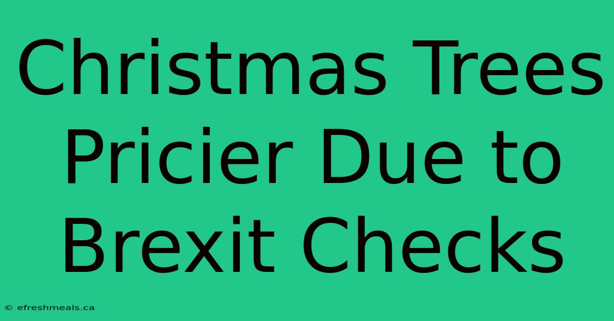 Christmas Trees Pricier Due To Brexit Checks