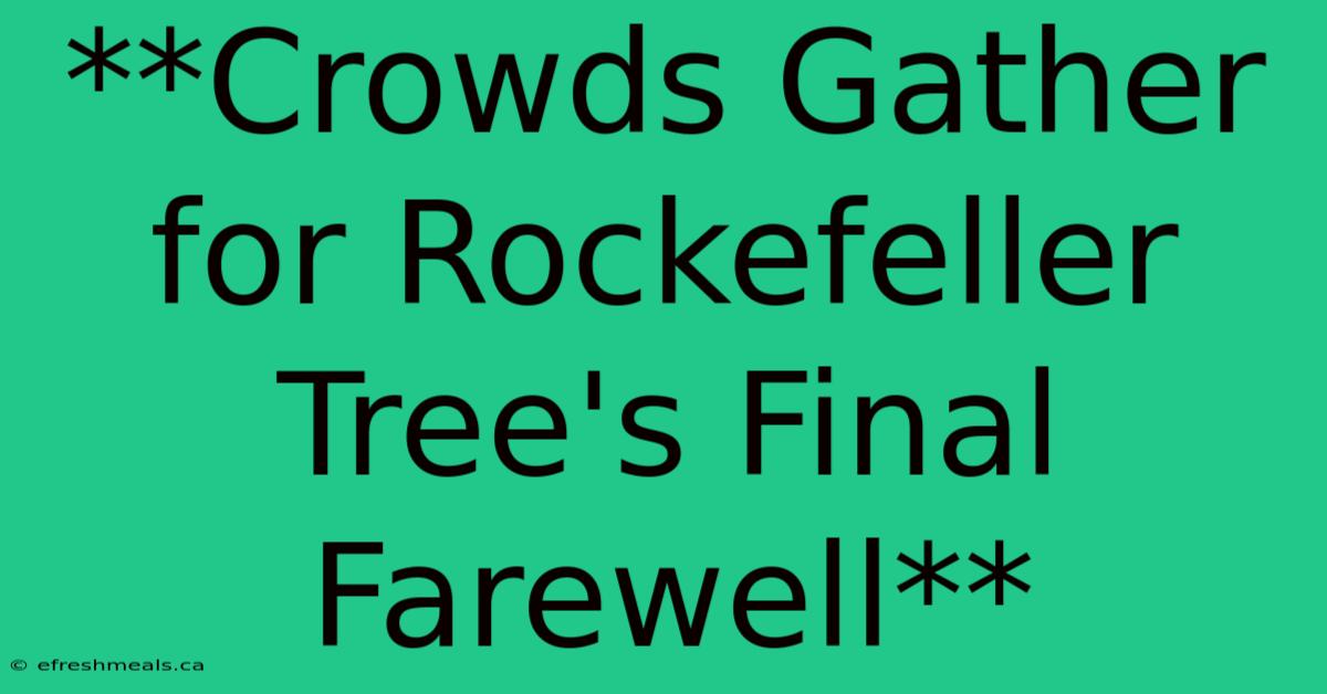 **Crowds Gather For Rockefeller Tree's Final Farewell**