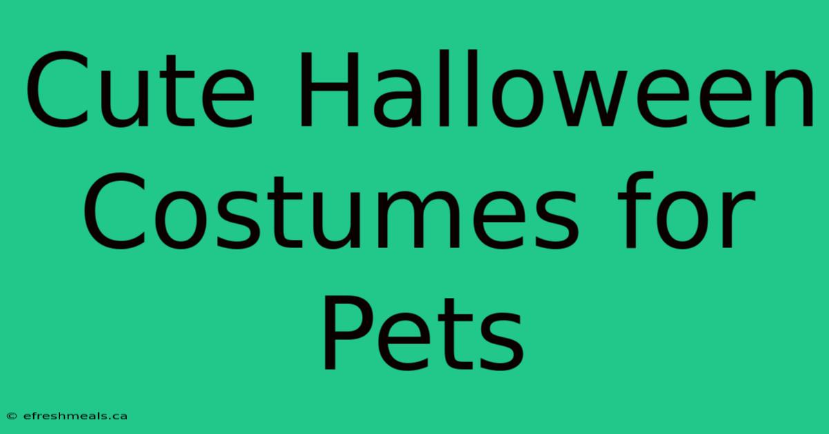 Cute Halloween Costumes For Pets