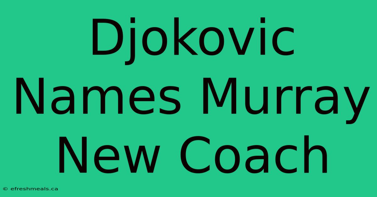 Djokovic Names Murray New Coach