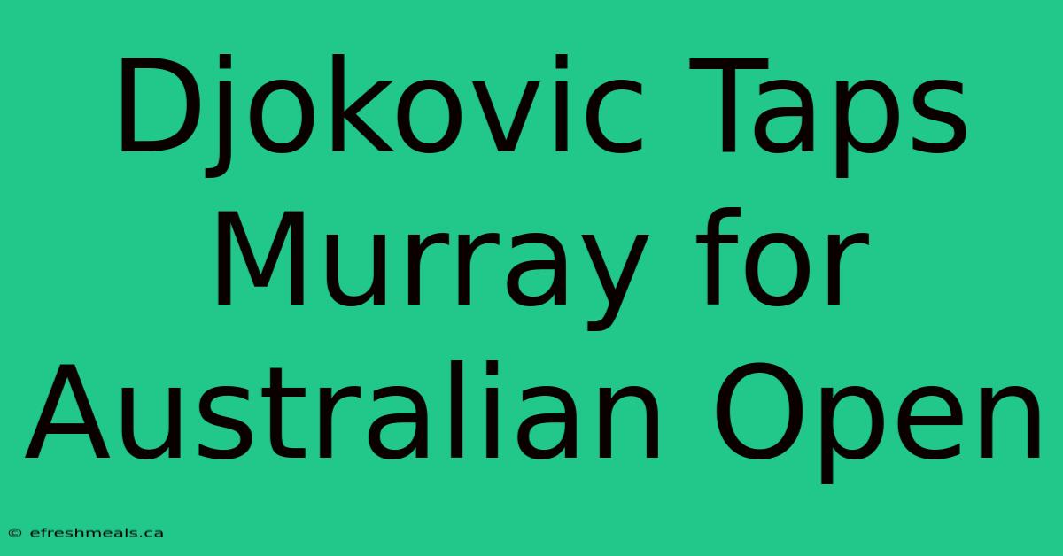 Djokovic Taps Murray For Australian Open