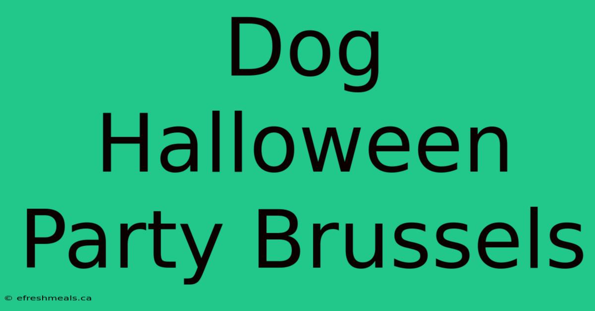 Dog Halloween Party Brussels 