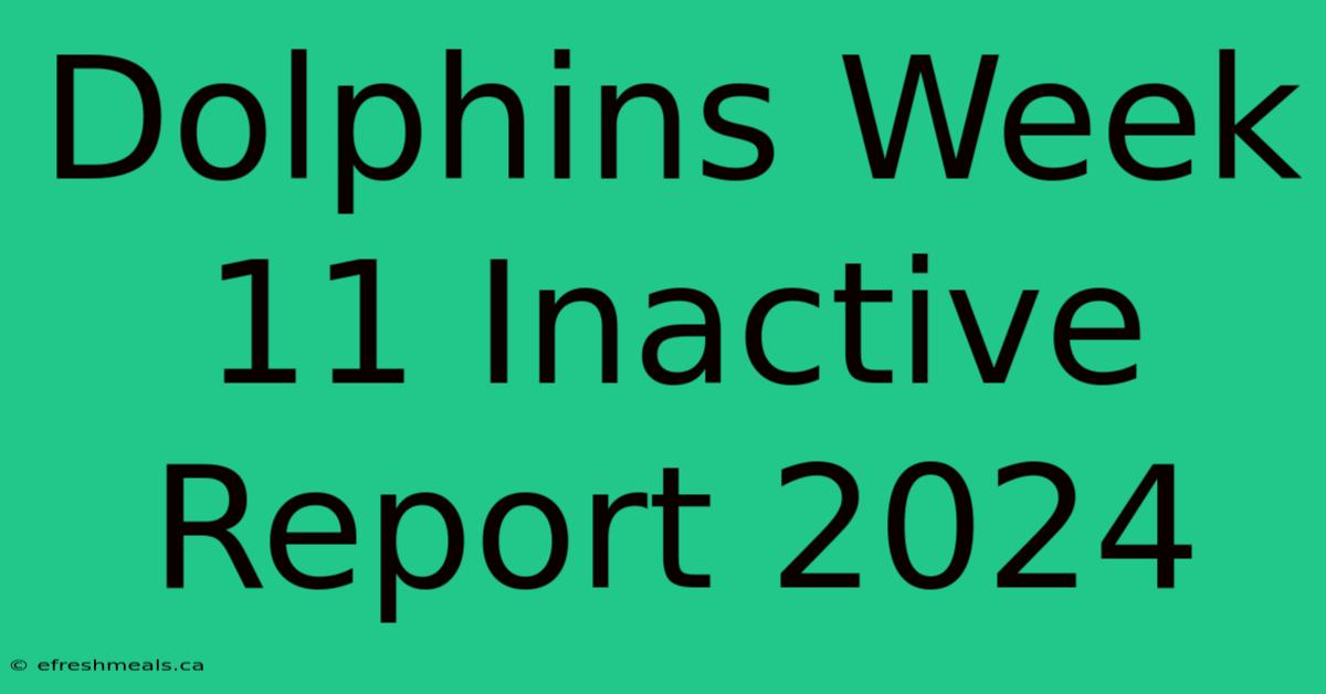 Dolphins Week 11 Inactive Report 2024