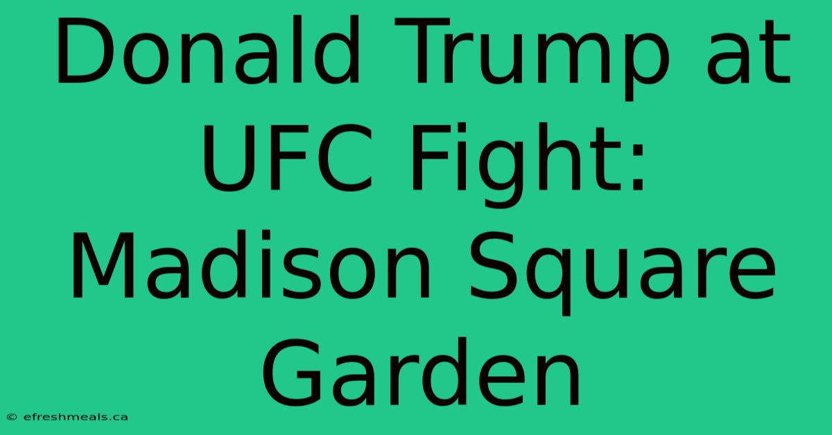 Donald Trump At UFC Fight: Madison Square Garden