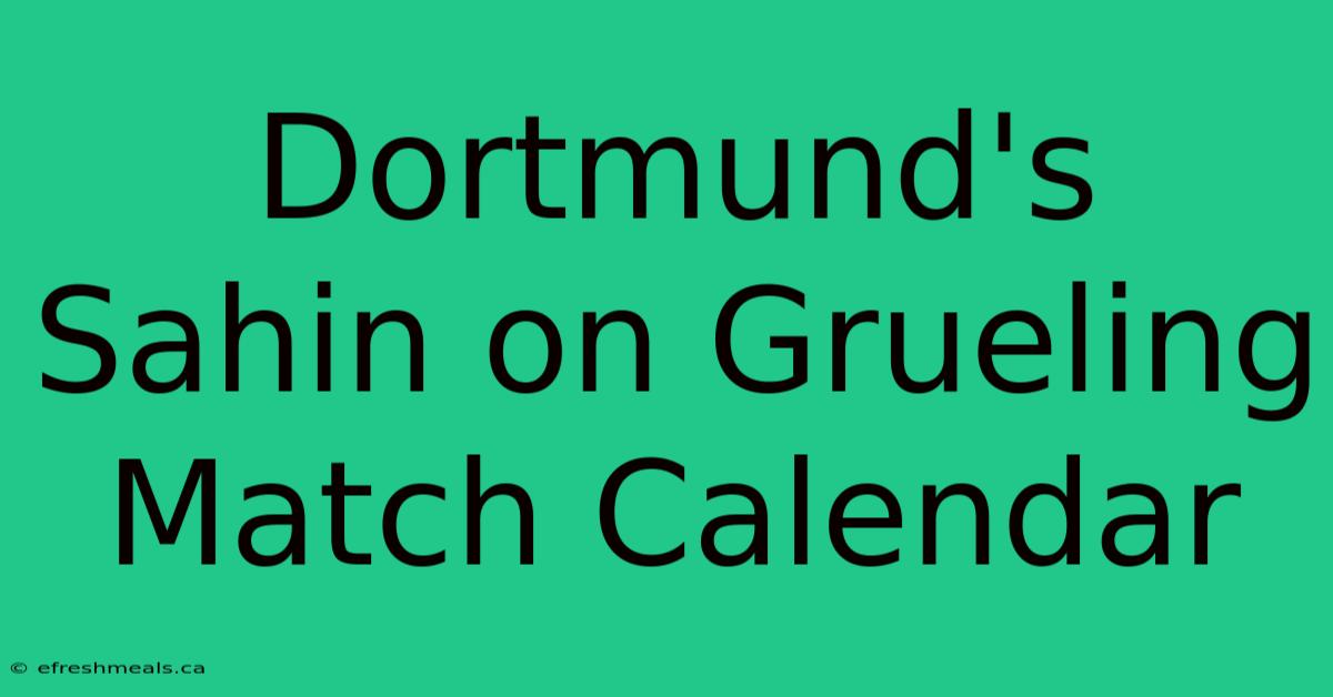 Dortmund's Sahin On Grueling Match Calendar