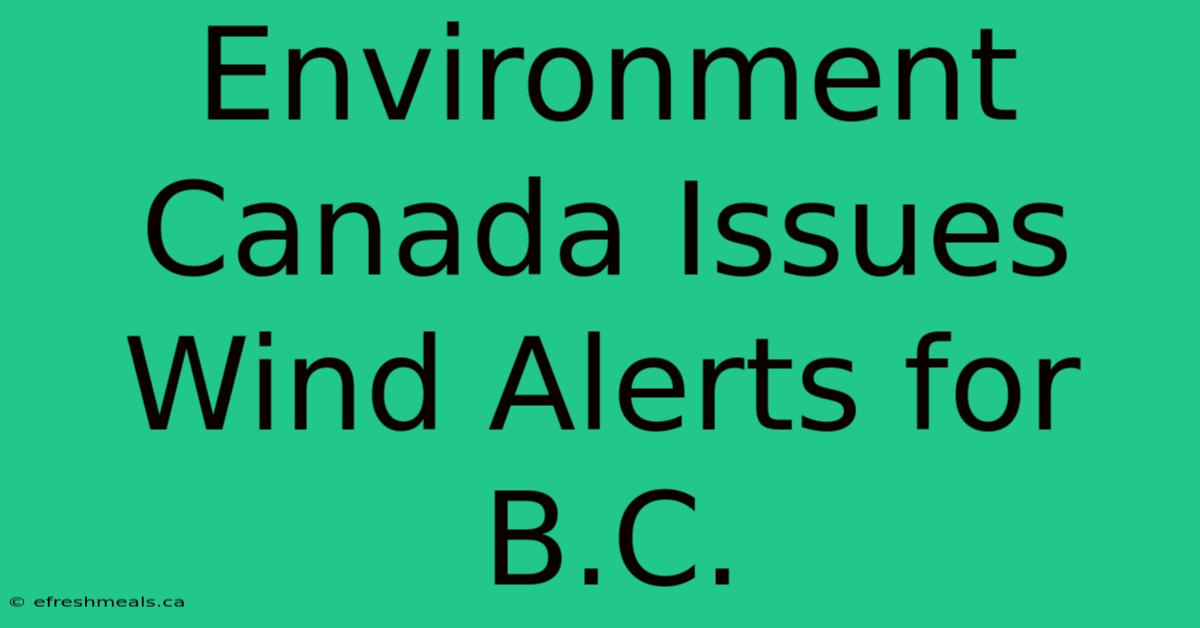 Environment Canada Issues Wind Alerts For B.C. 