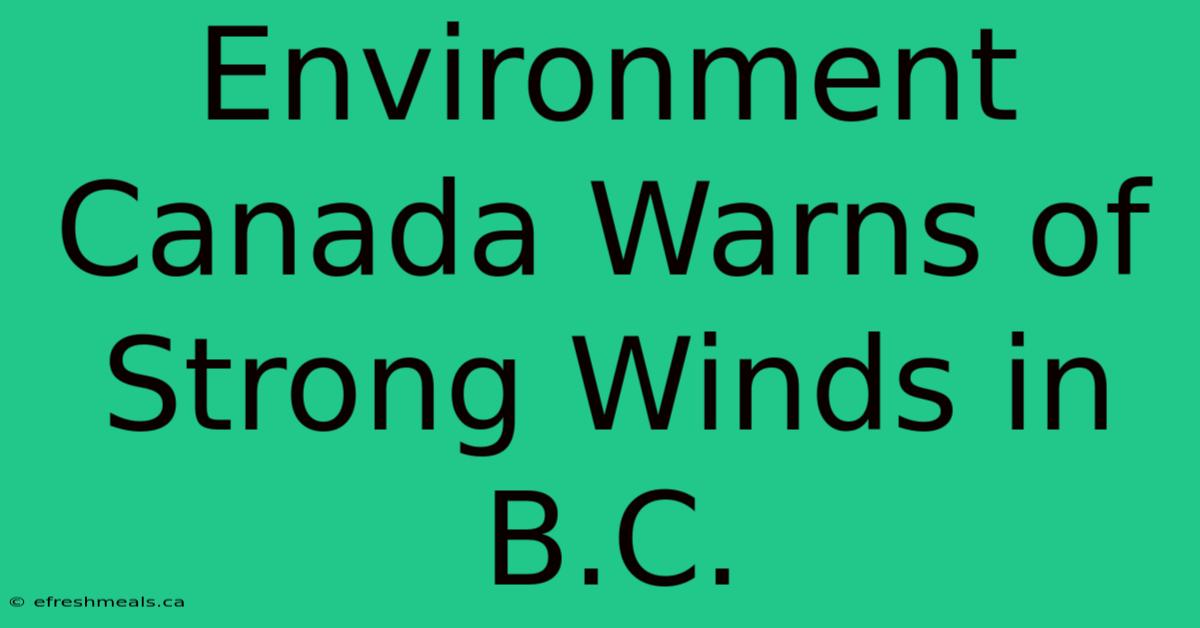 Environment Canada Warns Of Strong Winds In B.C.