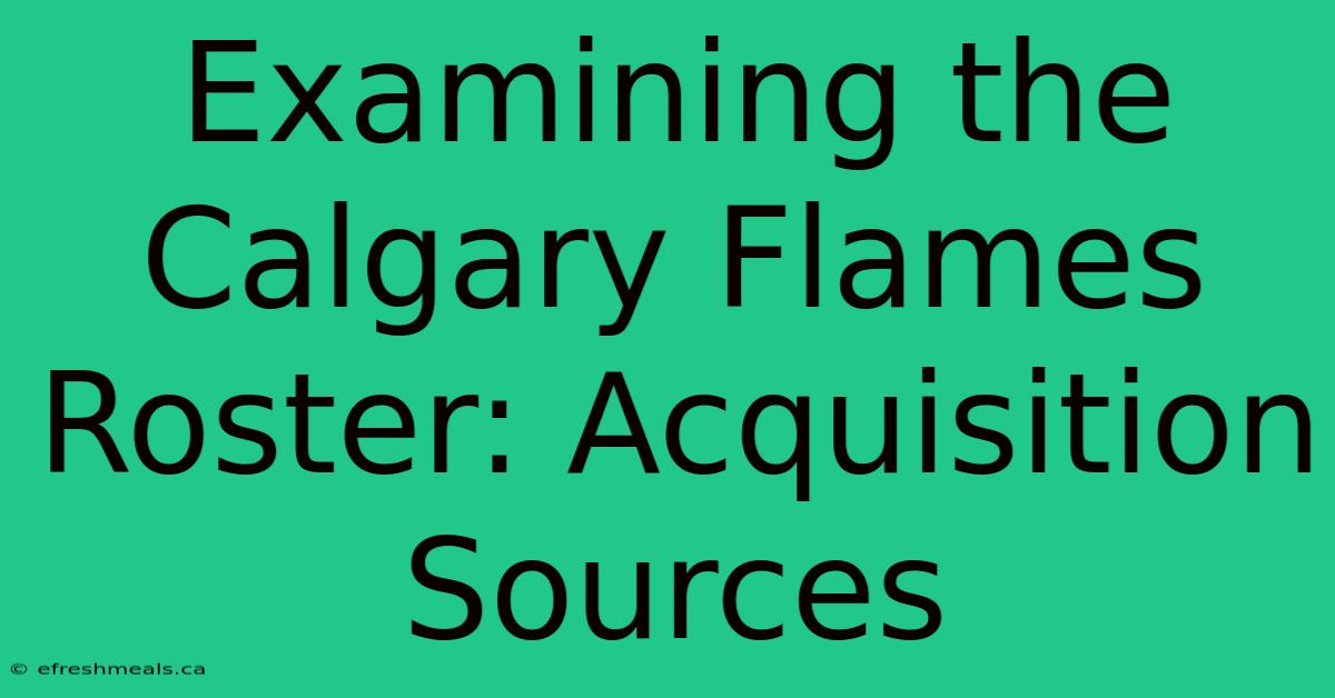 Examining The Calgary Flames Roster: Acquisition Sources