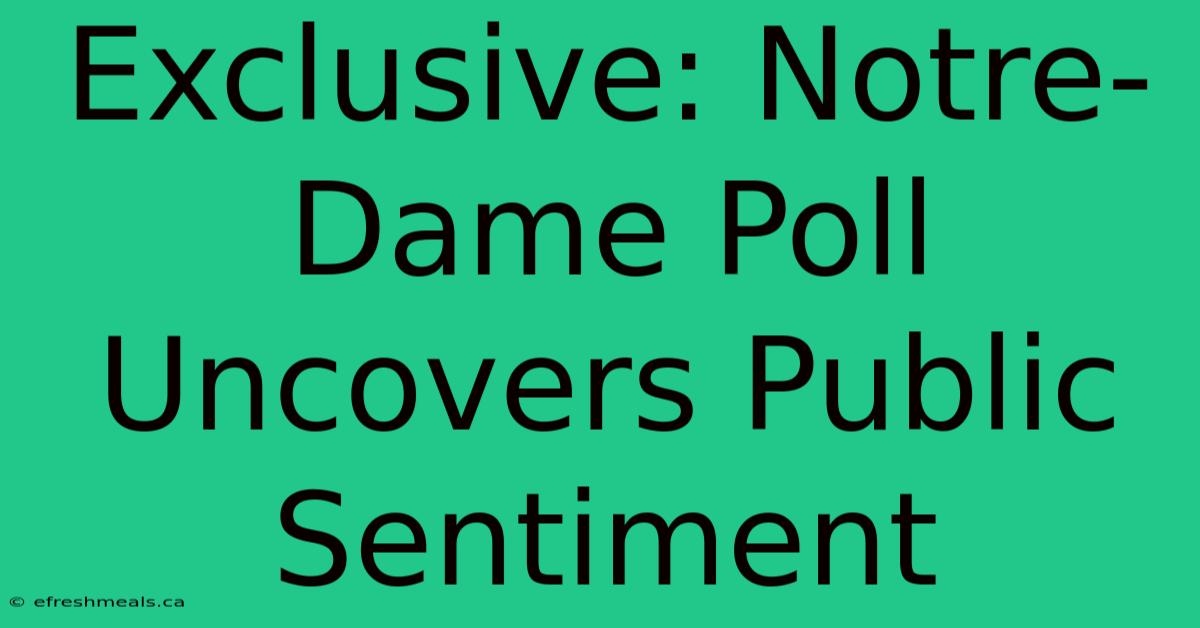 Exclusive: Notre-Dame Poll Uncovers Public Sentiment