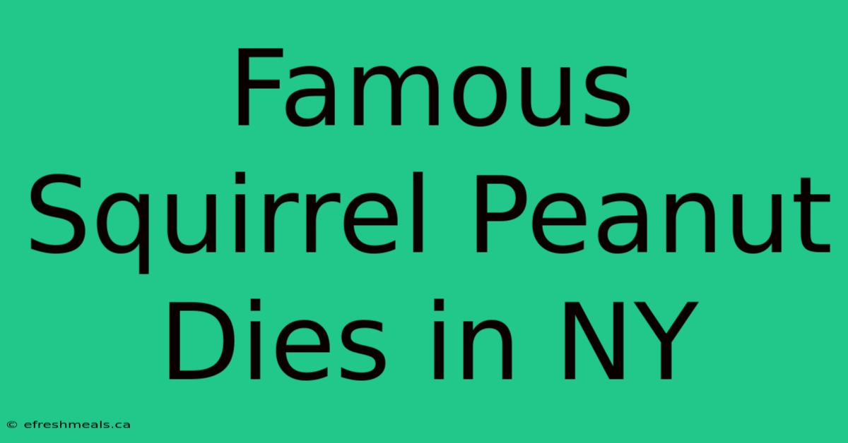 Famous Squirrel Peanut Dies In NY