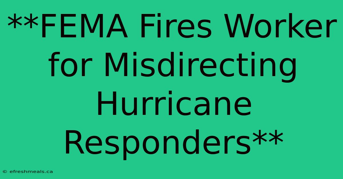 **FEMA Fires Worker For Misdirecting Hurricane Responders**